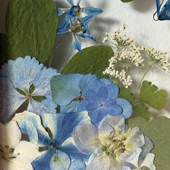 Drama geheimnisvoller Blumen