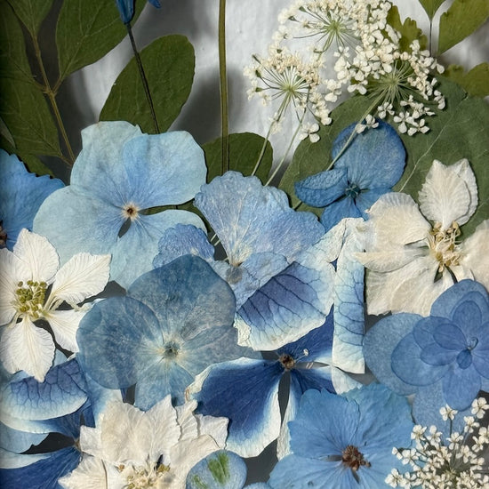 Drama geheimnisvoller Blumen