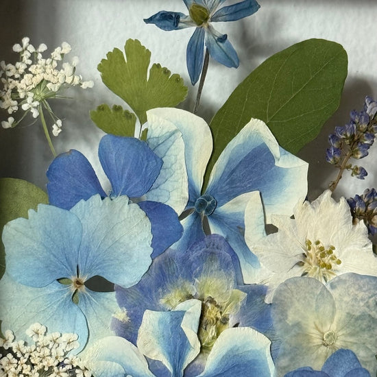 Drama geheimnisvoller Blumen