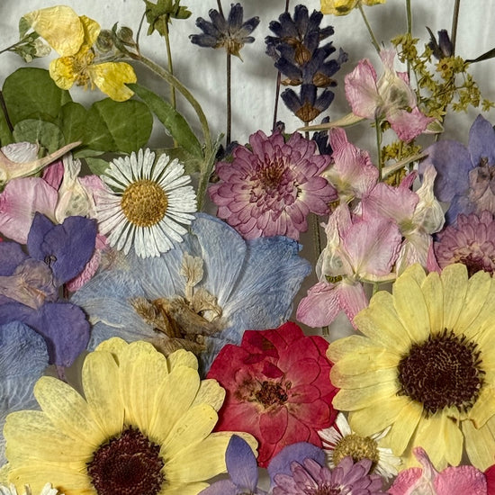 Tanzen auf der Wasseroberfläche