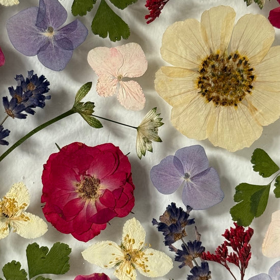 Tanzen auf der Wasseroberfläche