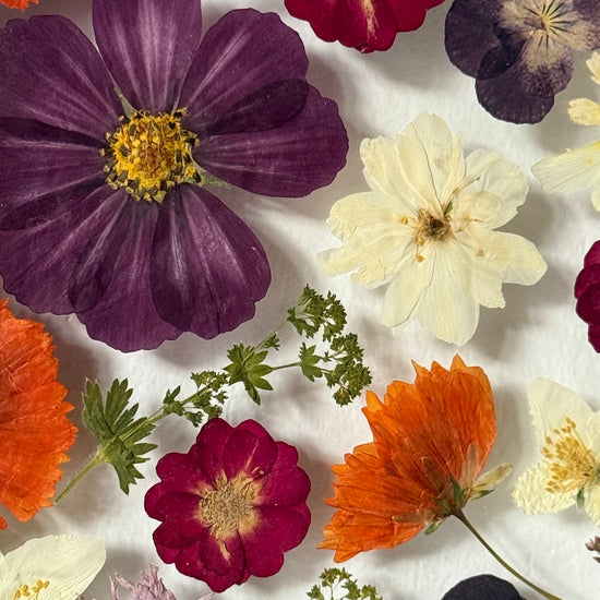 Tanzen auf der Wasseroberfläche