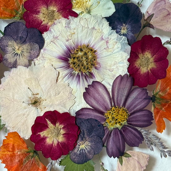 Tanzen auf der Wasseroberfläche