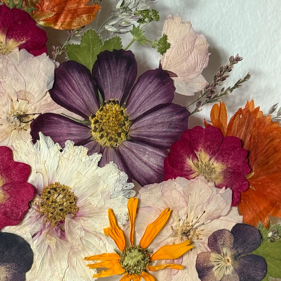 Tanzen auf der Wasseroberfläche