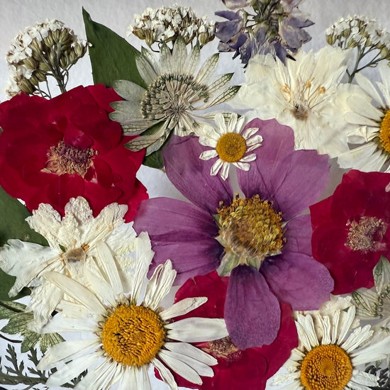 Hund im Frühlingsmantel