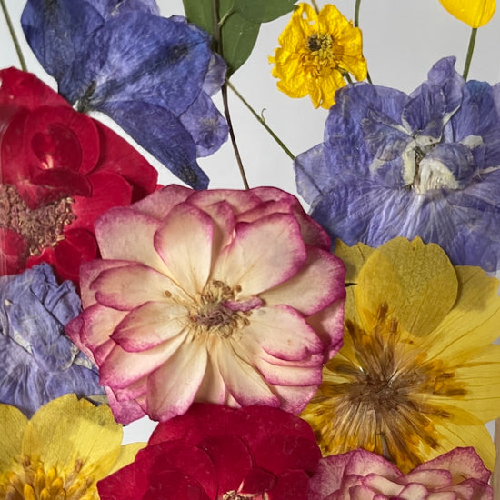 Blumige Vergänglichkeit
