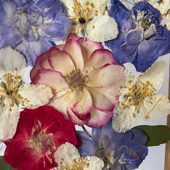Blumige Vergänglichkeit