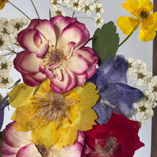Blumige Vergänglichkeit