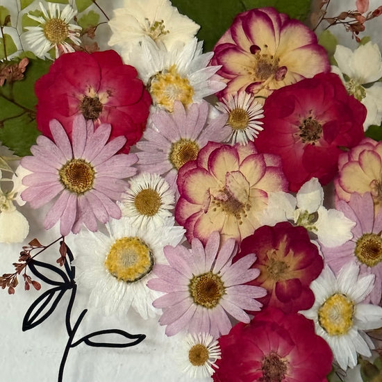 Wiesengöttin der Schönheit