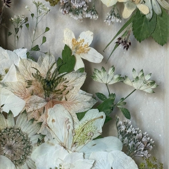 Drama geheimnisvoller Blumen