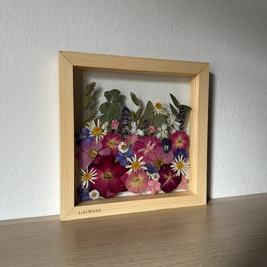 Daisy Harmony