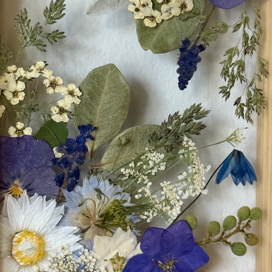 Drama geheimnisvoller Blumen