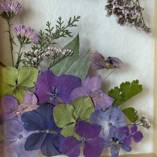 Drama geheimnisvoller Blumen