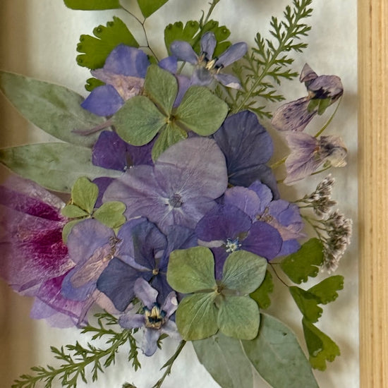 Drama geheimnisvoller Blumen