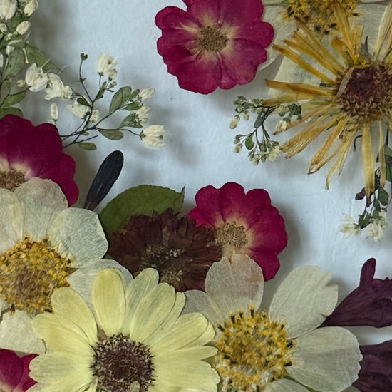 Tanzen auf der Wasseroberfläche