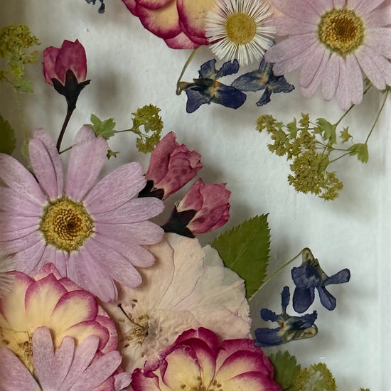 Blumige Vergänglichkeit