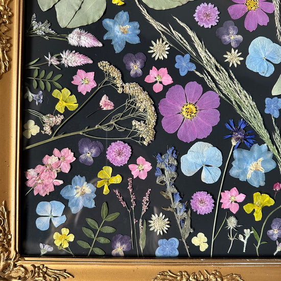 Wo die Wiese grün ist