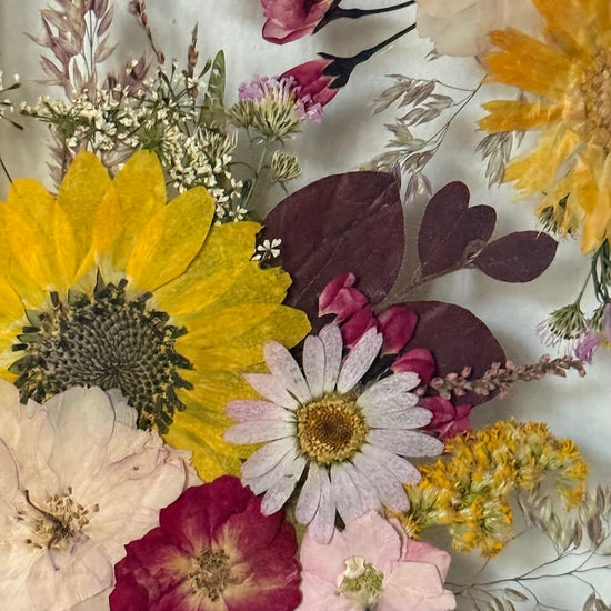 Tanzen auf der Wasseroberfläche