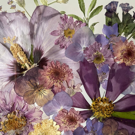 Wiesengöttin der Schönheit