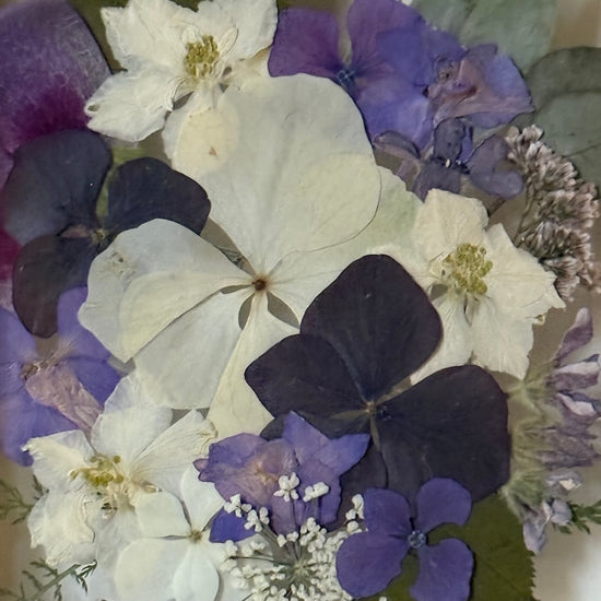 Drama geheimnisvoller Blumen