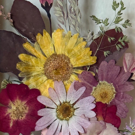 Blumige Vergänglichkeit