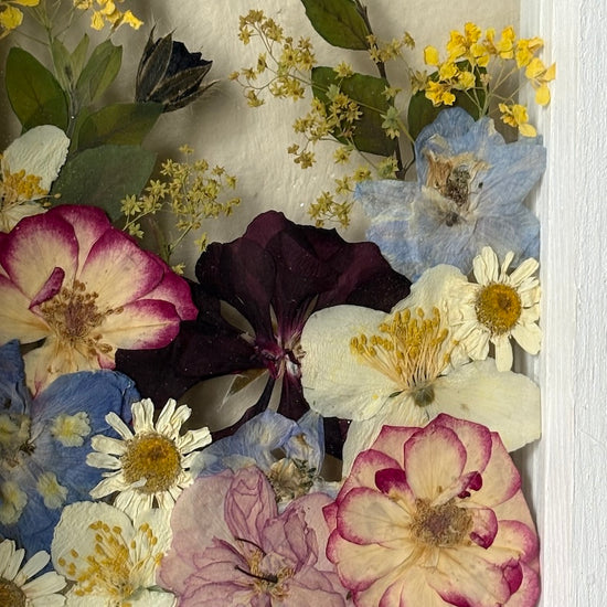 Drama geheimnisvoller Blumen