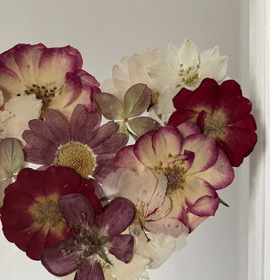 Blühen unter dem Schnee