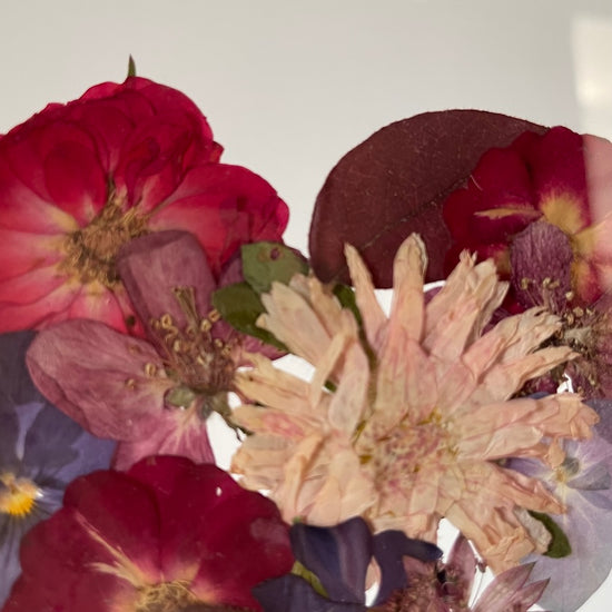 Blühen unter dem Schnee