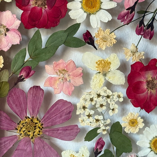 Tanzen auf der Wasseroberfläche