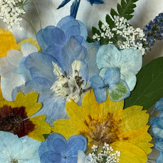 Drama geheimnisvoller Blumen