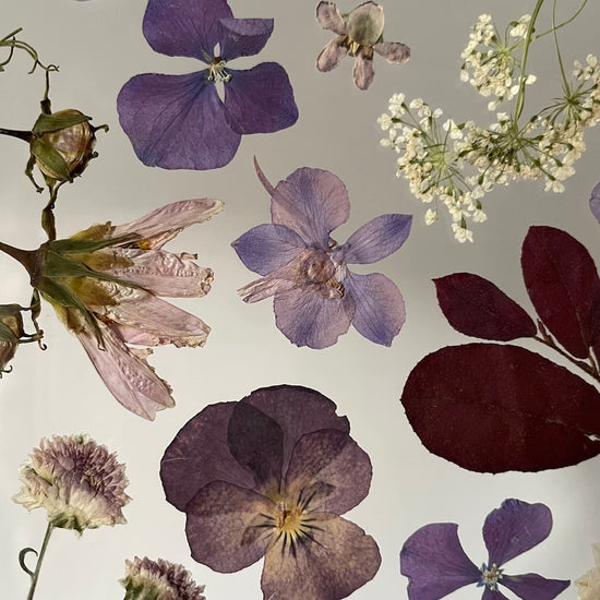 Tanzen auf der Wasseroberfläche