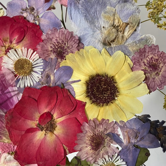 Tanzen auf der Wasseroberfläche