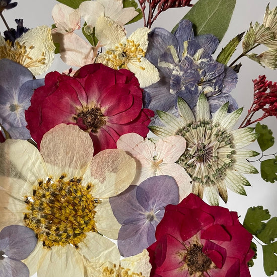 Tanzen auf der Wasseroberfläche