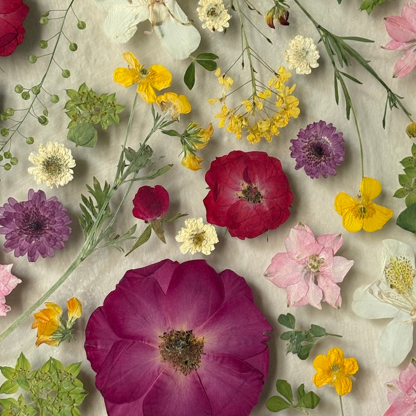 Küsse des Altweibersommers