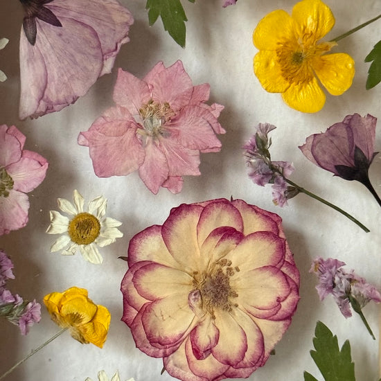 Blumige Vergänglichkeit