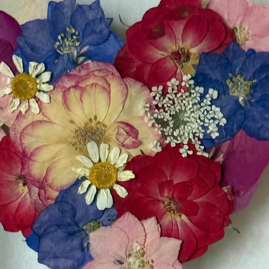 Blühen unter dem Schnee