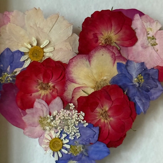 Blühen unter dem Schnee