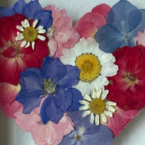 Blühen unter dem Schnee