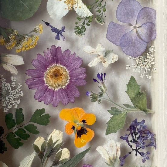 Drama geheimnisvoller Blumen