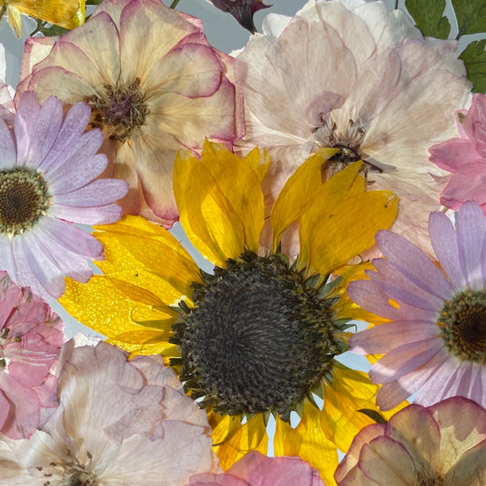 Tanzen auf der Wasseroberfläche