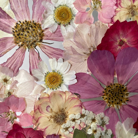 Führe mich durchs Leben