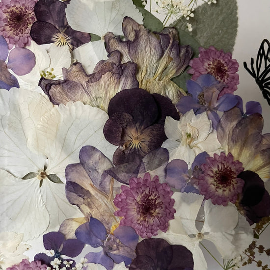 Wiesengöttin der Schönheit