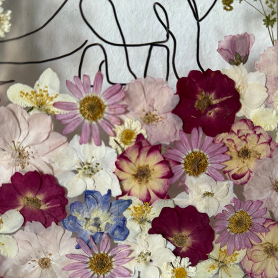 Hund im Frühlingsmantel