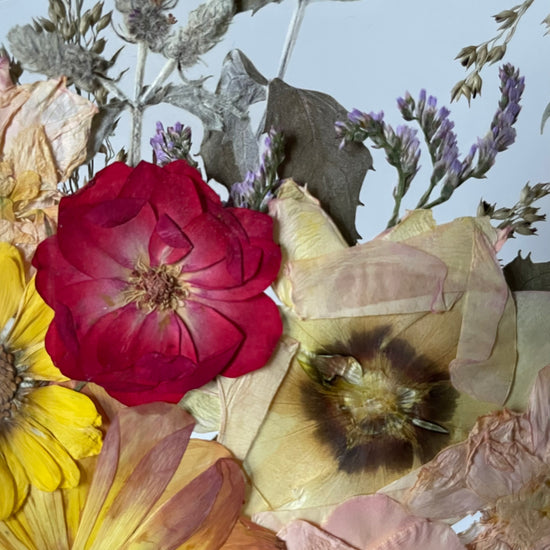 Tanzen auf der Wasseroberfläche