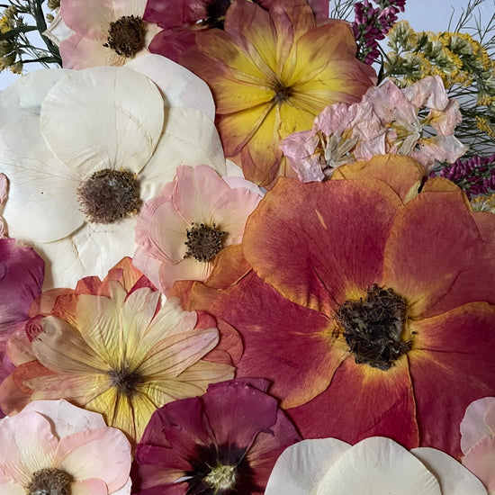 Wo Farbe ist, ist Leben