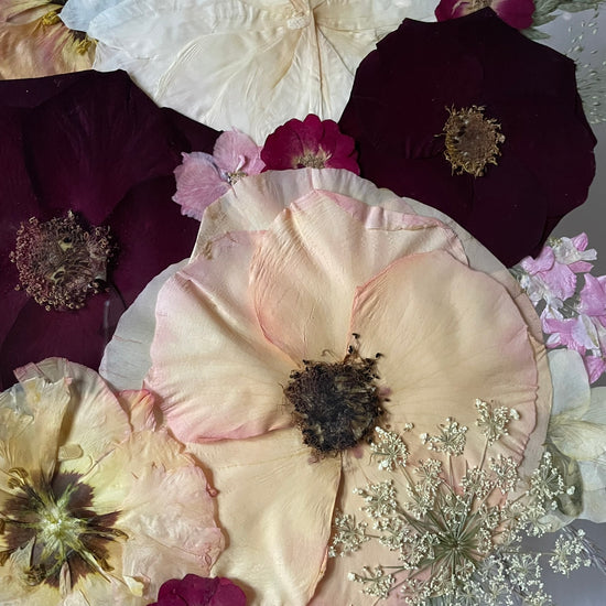 Wo Farbe ist, ist Leben