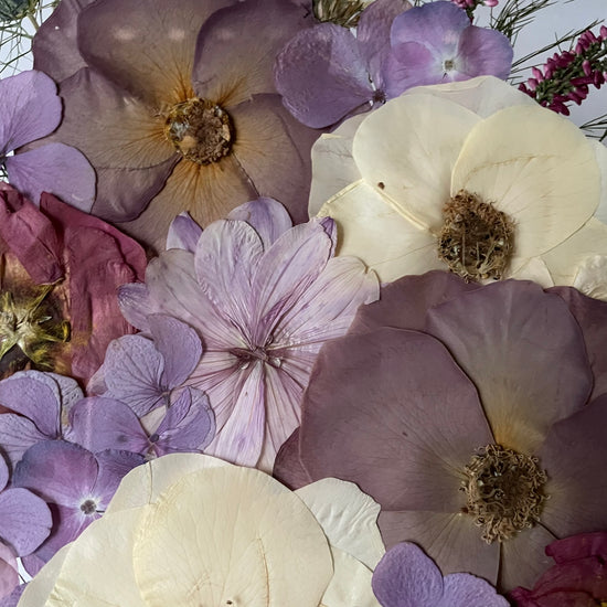 Wo Farbe ist, ist Leben