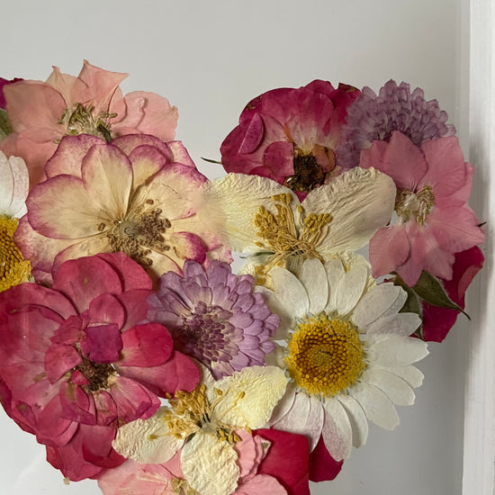 Blühen unter dem Schnee