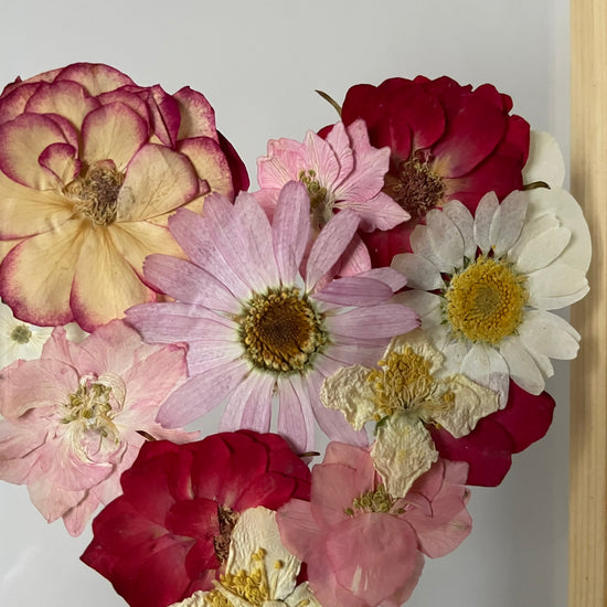 Blühen unter dem Schnee