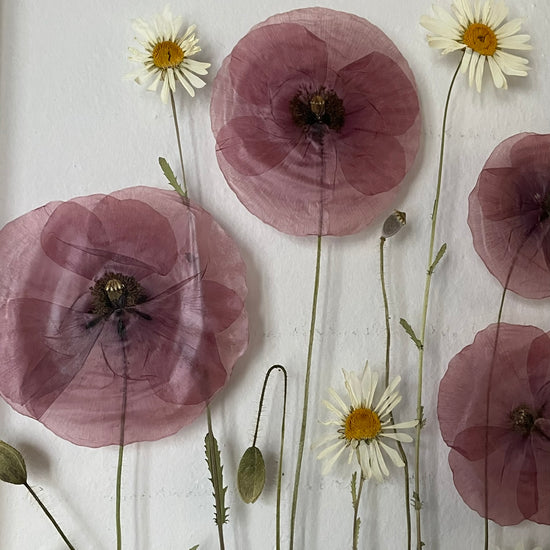 Das Geheimnis der blauen Hortensie